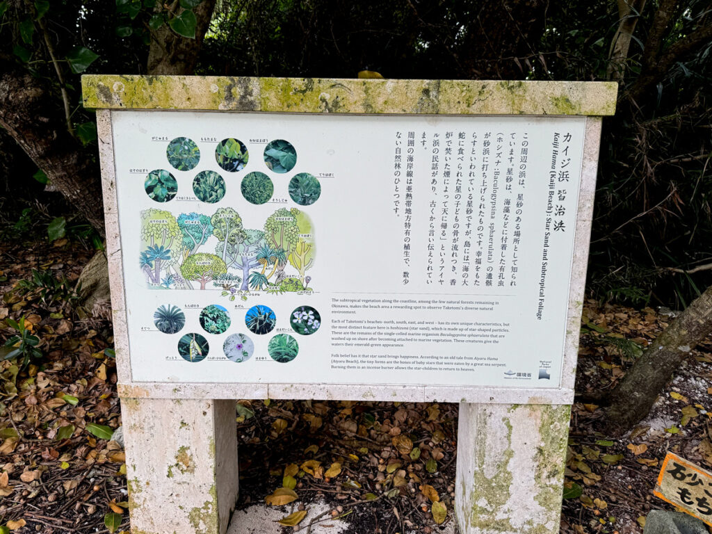 カイジ浜 説明